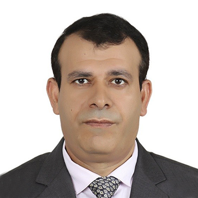 Prof. Aly R. Seadawy